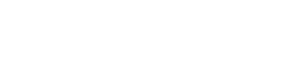 SONAX